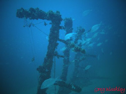 BRASS WRECK, Pensacola, Fl. Diving with MBT Divers by Greg Bleakley 